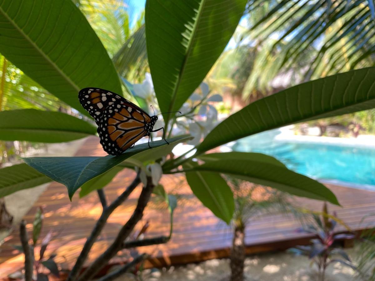 Pousada Villa Zen Barra Grande  Esterno foto